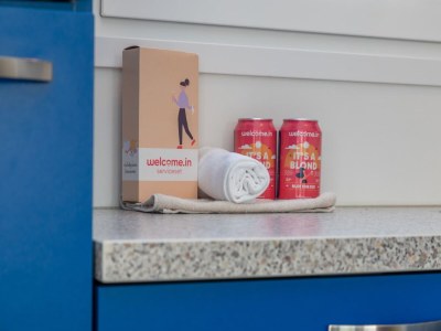 Holiday house Villa in Burgh-Haamstede with Garden - Outdoor photo 42