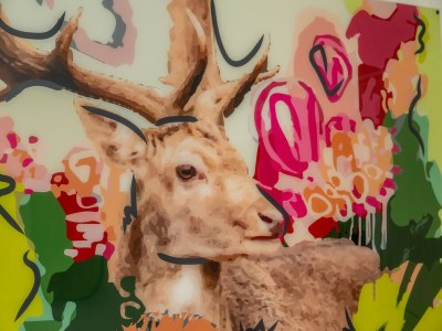 Holiday house Villa in Burgh-Haamstede with Garden - Outdoor photo 62