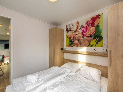 Holiday house Villa in Burgh-Haamstede with Garden - Outdoor photo 78