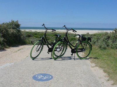 Holiday house Villa in Burgh-Haamstede with Garden - Outdoor photo 87