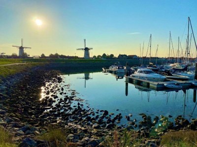 Holiday park Holiday Home in Quiet Dutch Park for Families - Environment photo 27