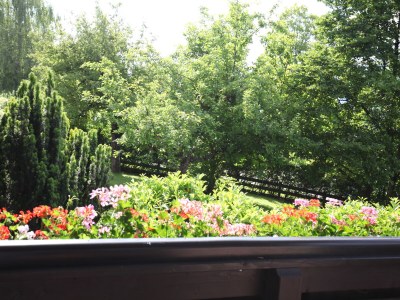 Holiday apartment Hager House - Features photo 21