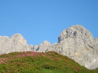 Holiday apartment Hager House - Environment photo 22