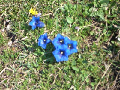 Holiday apartment Hager House - Environment photo 23