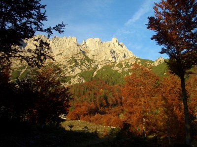 Holiday apartment Hager House - Environment photo 30