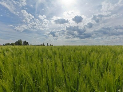 Holiday house Chalet in Bemelen am Bemelerberg - Environment photo 17