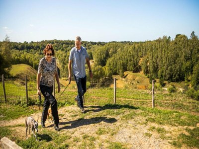 Holiday house Chalet in Bemelen am Bemelerberg - Outdoor photo 22
