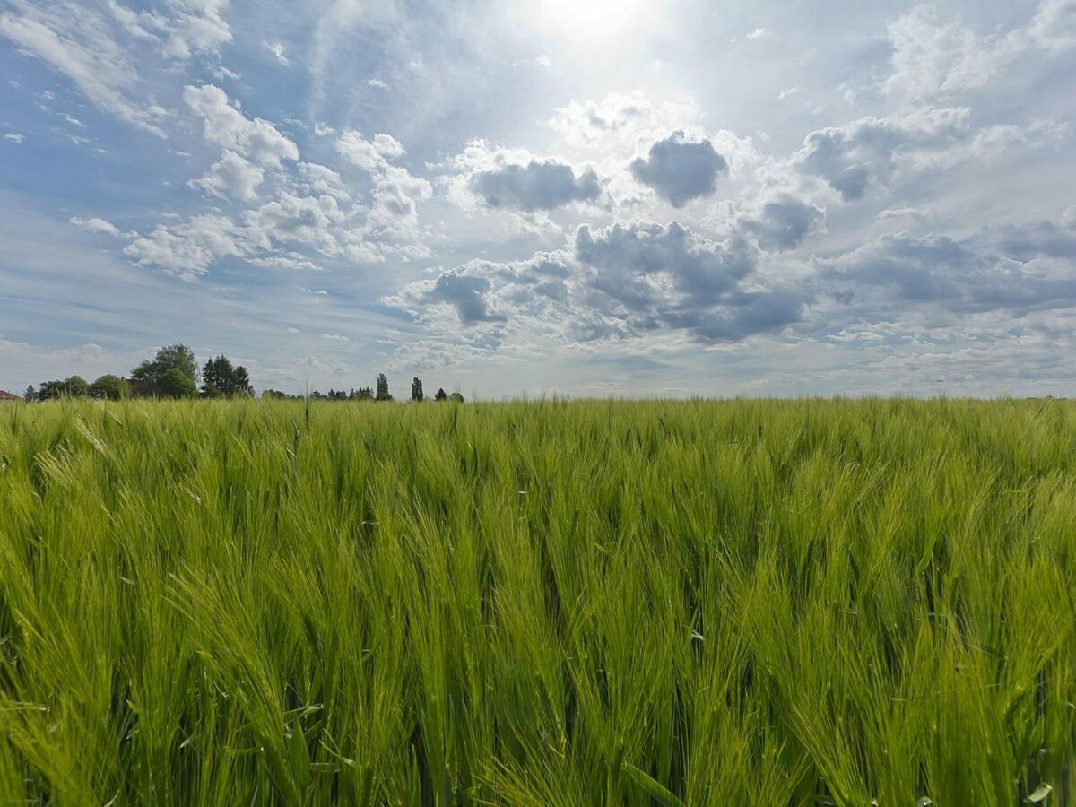 Holiday house Holiday home with gas fireplace & bath - Environment photo 5