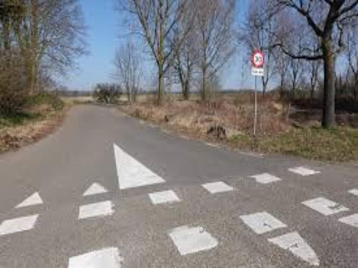 Holiday house Holiday Home Bemelen near Nature Reserve - Environment photo 4