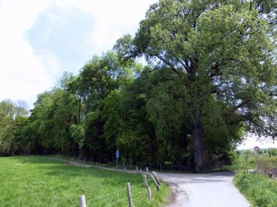 Holiday house Holiday Home Bemelen near Nature Reserve - Environment photo 2