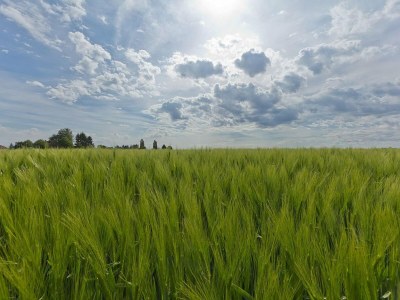 Holiday house Holiday Home Bemelen near Nature Reserve - Environment photo 18