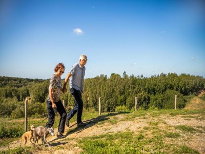 Holiday house Ferienhaus in Bemelen am Naturschutzgebiet - Outdoor photo 38