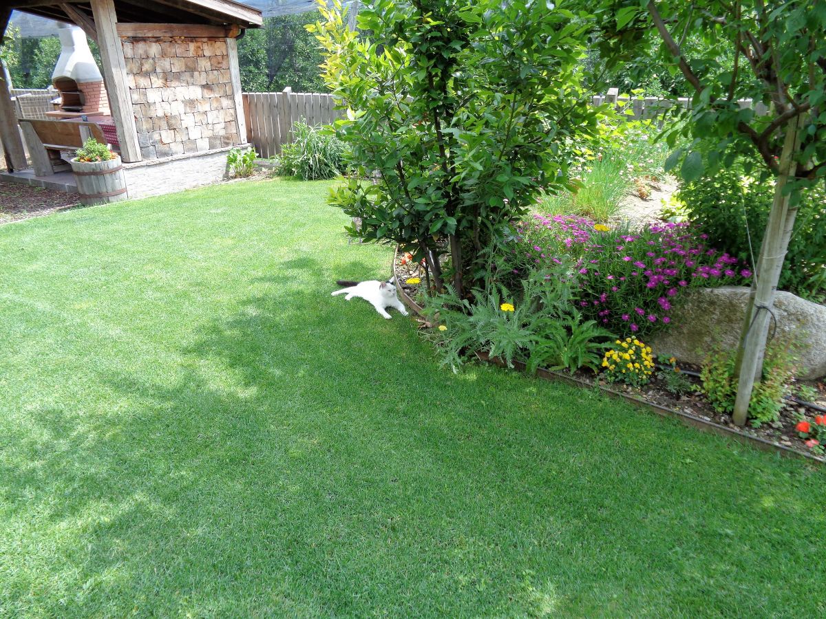 Holiday apartment Morgenrot - Outdoor photo 5