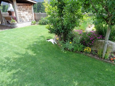 Holiday apartment Morgenrot - Outdoor photo 5