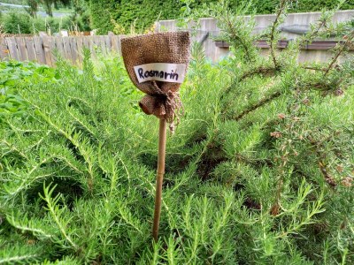 Holiday apartment Morgenrot - Outdoor photo 7