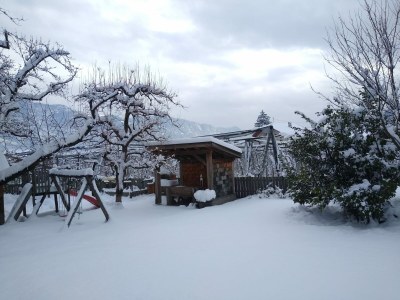 Holiday apartment Morgenrot - Outdoor photo 10