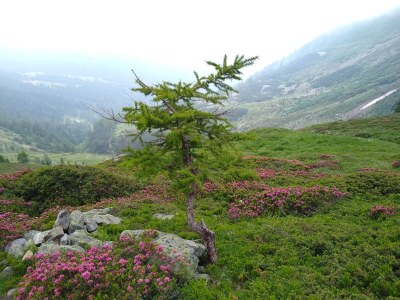 Holiday apartment Morgenrot - Environment photo 25