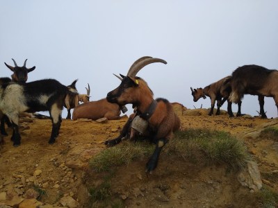 Holiday apartment Morgenrot - Environment photo 28