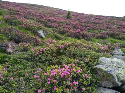 Holiday apartment Morgenrot - Environment photo 29