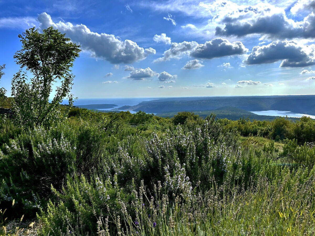Holiday house House Marconi - Outdoor photo 4