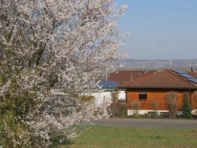 Apartment Ferienwohnung mit 2 Schlafzimmer und Terrasse in Langenlonsheim - Apartment