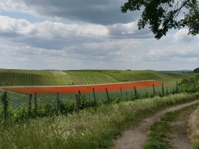 Apartment Ferienwohnung mit 2 Schlafzimmer und Terrasse - Outdoor photo 8