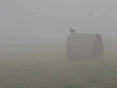 Apartment Ferienwohnung mit 2 Schlafzimmer und Terrasse - Outdoor photo 15