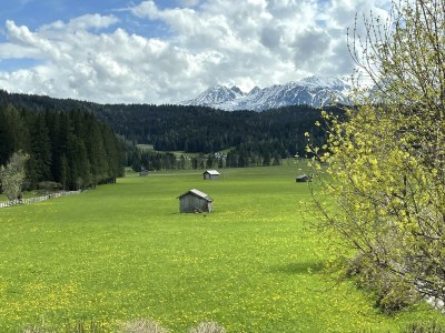 Apartment Ferienwohnung Nr.1 - Outdoor photo 16