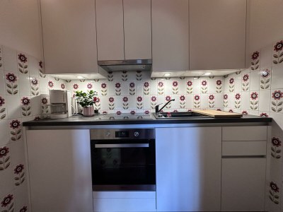 Apartment Ferienwohnung Nr.1 - Outdoor photo 40