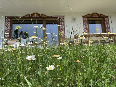 Apartment Ferienwohnung Nr.1 - Features photo 57