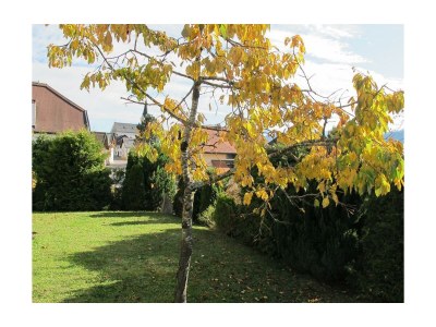 Apartment Appartement, Dusche und Bad, WC, 2 Schlafräume - Outdoor photo 17