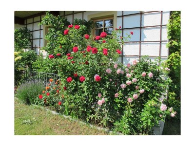 Apartment Appartement, Dusche und Bad, WC, 2 Schlafräume - Outdoor photo 18