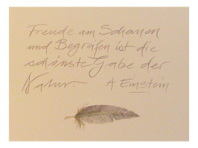 Apartment Appartement, Wohn-Schlafraum, Dusche/WC - Outdoor photo 39