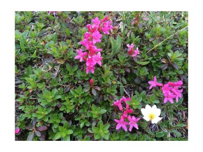 Apartment Appartement, Wohn-Schlafraum, Dusche/WC - Outdoor photo 44