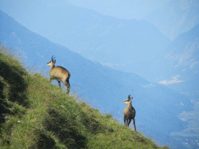 Apartment Appartement, Wohn-Schlafraum, Dusche/WC - Outdoor photo 45