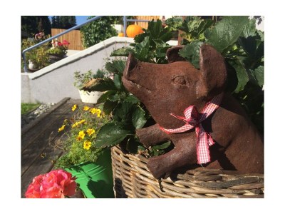 Apartment Appartement, Wohn-Schlafraum, Dusche/WC - Outdoor photo 55