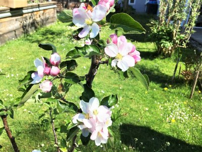 Apartment Appartement, Wohn-Schlafraum, Dusche/WC - Outdoor photo 61