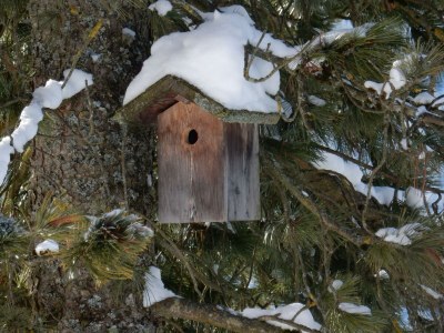 Apartment Appartement, Wohn-Schlafraum, Dusche/WC - Outdoor photo 72