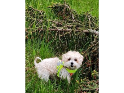 Apartment Appartement, Wohn-Schlafraum, Dusche/WC - Outdoor photo 78