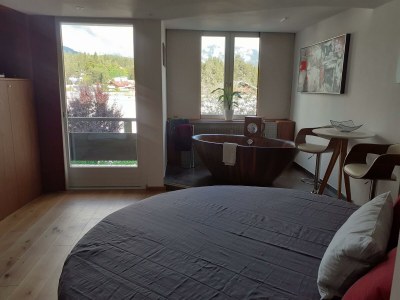 Apartment Deluxe Apartment mit Luxuswanne, Hallenbad, Sauna - Features photo 12