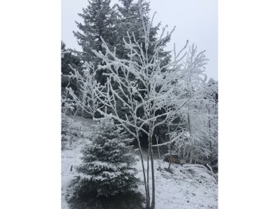 Apartment Appartement Nr. 2 - Outdoor photo 7