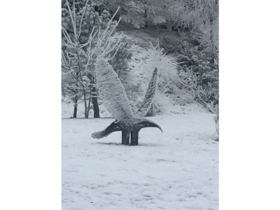 Apartment Appartement Nr. 2 - Outdoor photo 9