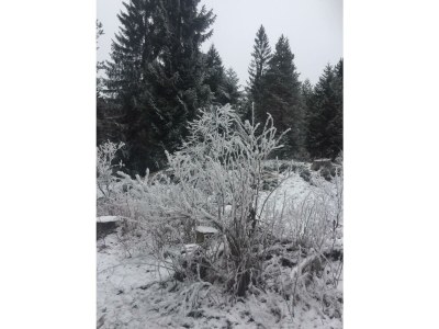 Apartment Appartement Nr. 2 - Outdoor photo 12