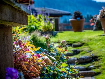 Apartment Nr. 5, Apartment/1 Schlafraum/Dusche, WC - Outdoor photo 7