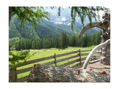 Apartment Nr. 5, Apartment/1 Schlafraum/Dusche, WC - Outdoor photo 15