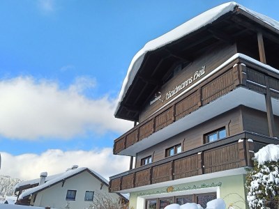 Apartment Kategorie LUX - Ferienwohnung Landhaus Top 5 - Outdoor photo 13