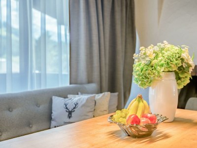 Apartment Kategorie LUX - Ferienwohnung Landhaus Top 5 - Features photo 38