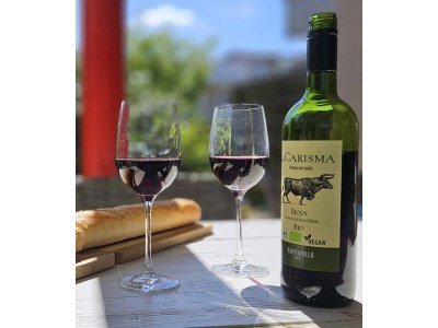 Holiday apartment Meer Zeit Ameland - Outdoor photo 2