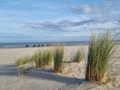 Holiday apartment Meer Zeit Ameland - Environment photo 20