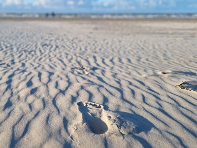 Holiday apartment Meer Zeit Ameland - Environment photo 21